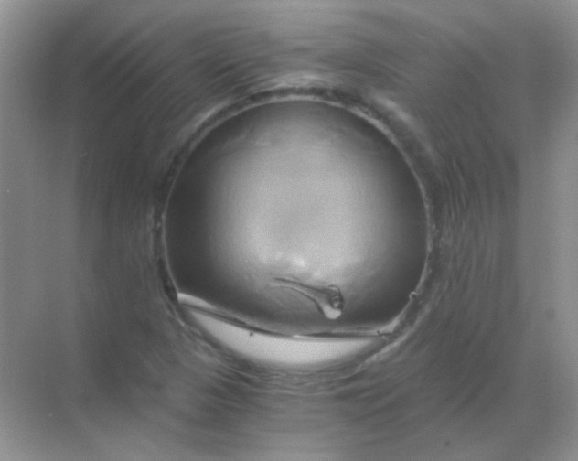 X0000068861313200605192007