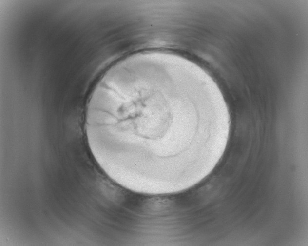 X0000068861314200605192007