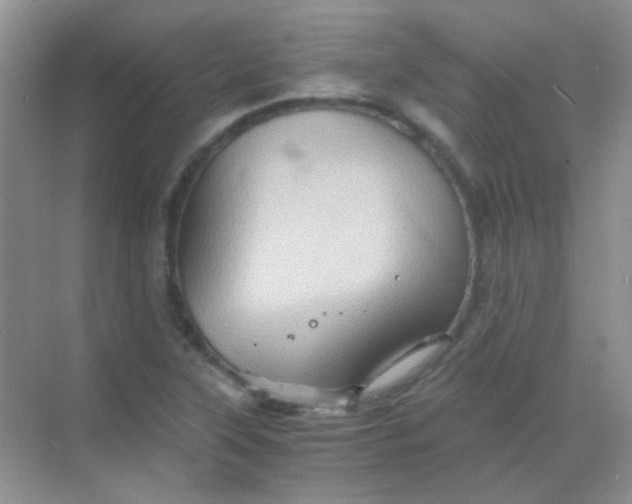 X0000068861315200605192007