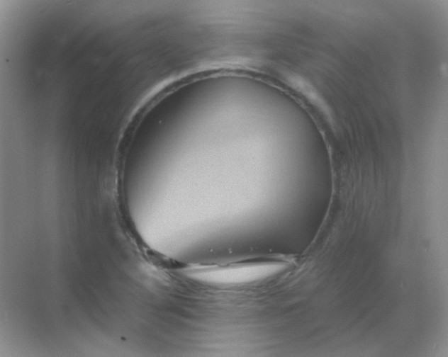 X0000068861316200605192007