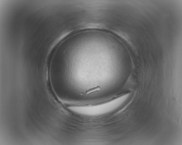 X0000068861317200605192007