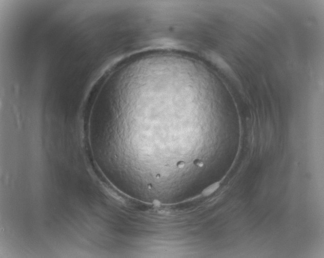 X0000068861318200605192007