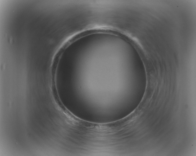 X0000068861319200605192007