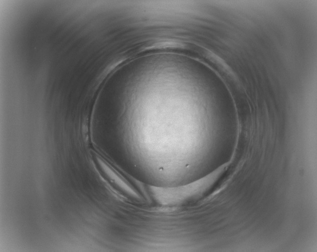 X0000068861321200605192007