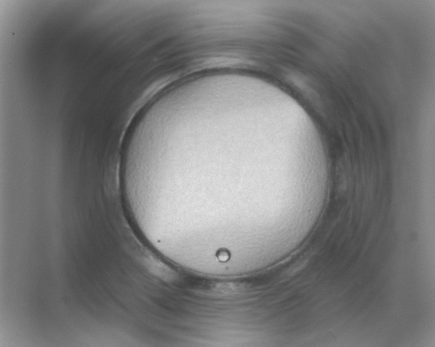 X0000068861322200605192007