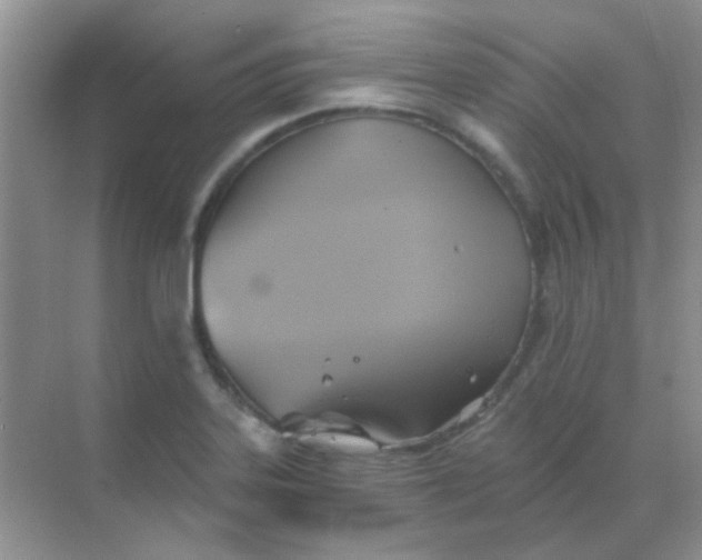 X0000068861323200605192007