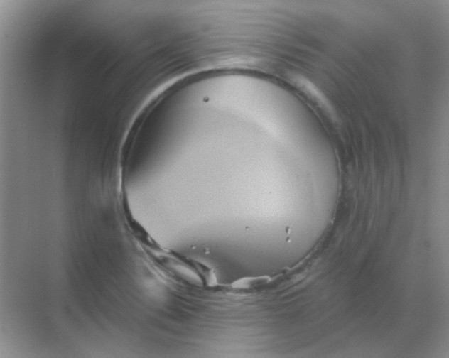 X0000068861324200605192007