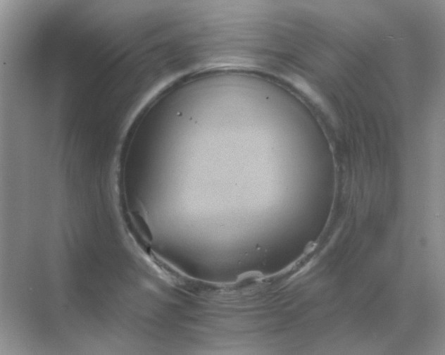 X0000068861325200605192007