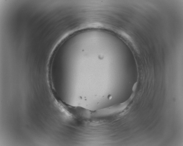 X0000068861326200605192007