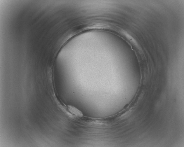 X0000068861329200605192007