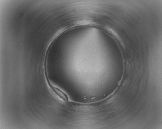 X0000068861330200605192007