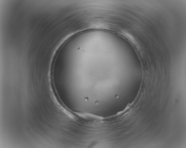 X0000068861331200605192007