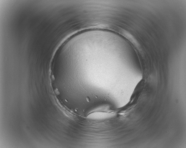 X0000068861332200605192007