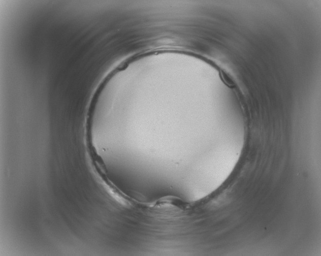 X0000068861333200605192007