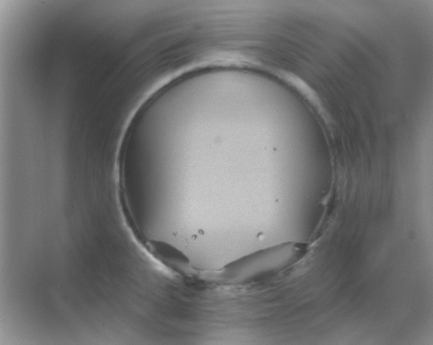 X0000068861335200605192007