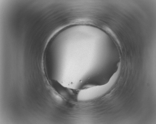 X0000068861336200605192007