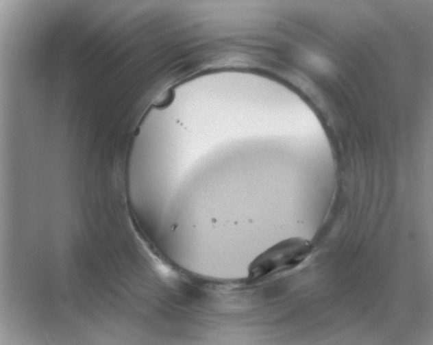 X0000068861337200605192007