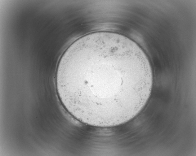 X0000068861338200605192007