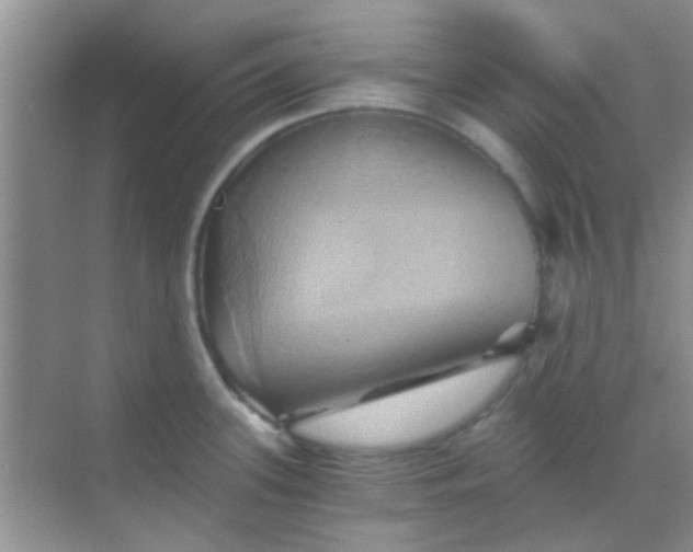 X0000068861339200605192007