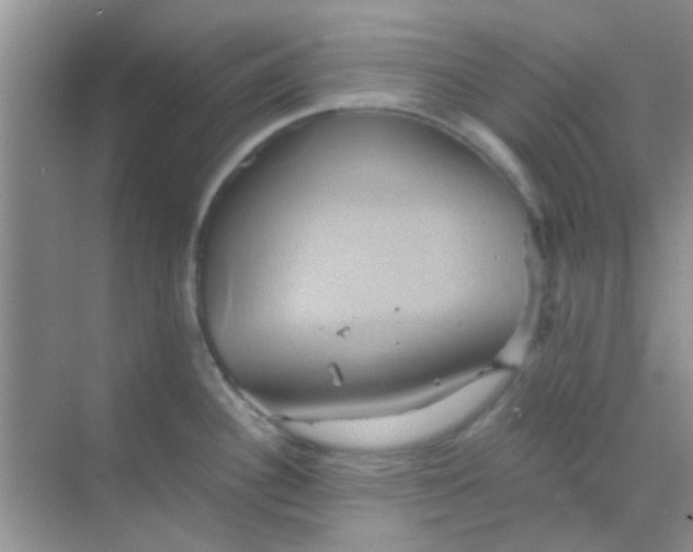 X0000068861340200605192007