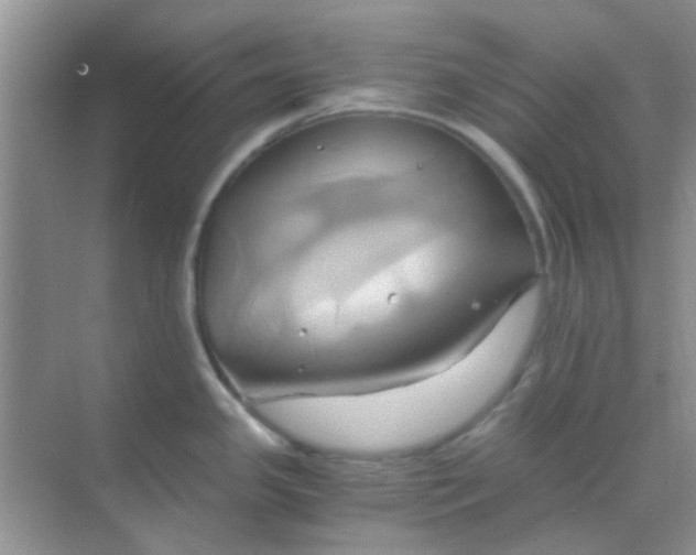 X0000068861341200605192007