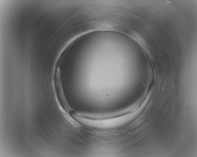 X0000068861342200605192007