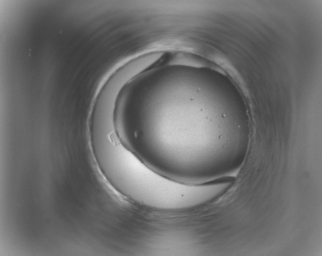 X0000068861344200605192007