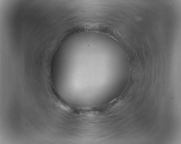 X0000068861345200605192006