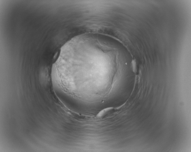 X0000068861347200605192006