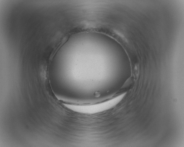 X0000068861348200605192006