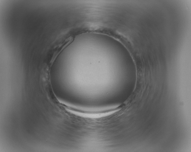 X0000068861349200605192006