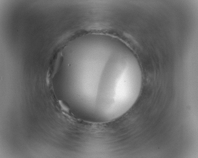 X0000068861350200605192006