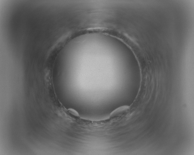 X0000068861351200605192006