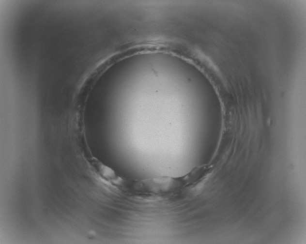 X0000068861352200605192006