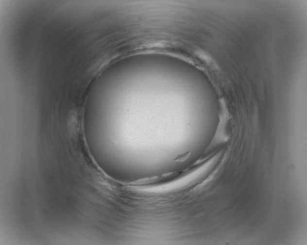 X0000068861353200605192006