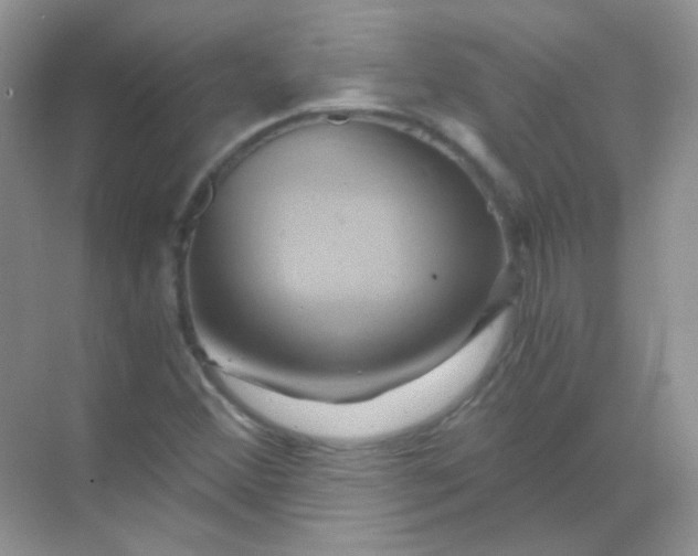 X0000068861356200605192006