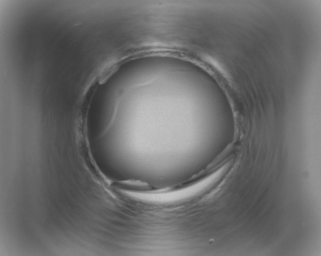 X0000068861357200605192006