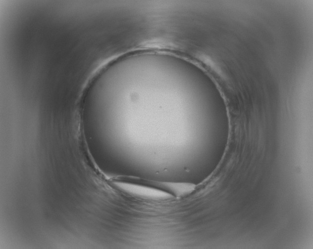 X0000068861358200605192006