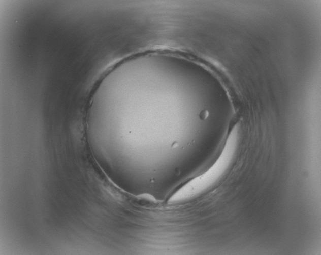 X0000068861359200605192006