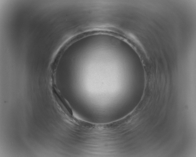 X0000068861360200605192006