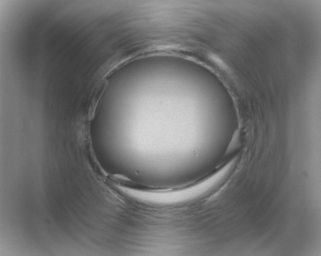 X0000068861361200605192006