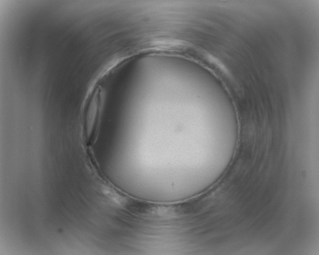 X0000068861362200605192006