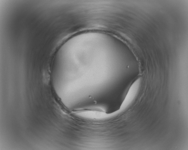 X0000068861363200605192006