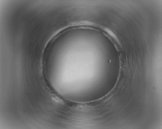 X0000068861364200605192006