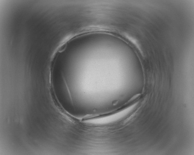 X0000068861365200605192006