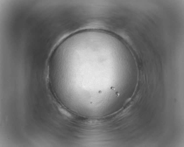 X0000068861366200605192006