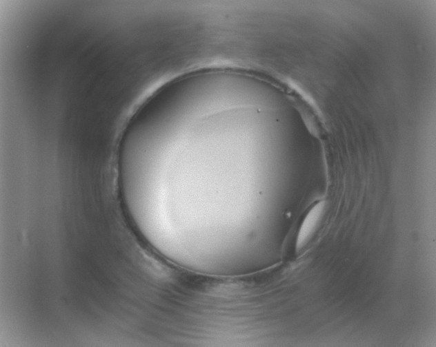 X0000068861367200605192006