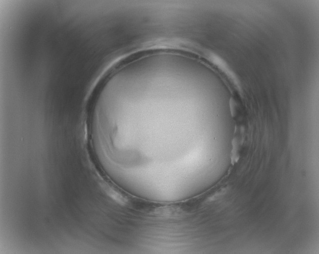 X0000068861368200605192006