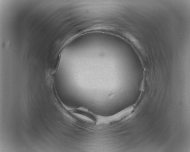 X0000068861369200605192006