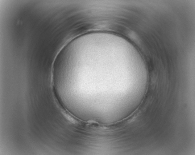 X0000068861370200605192006